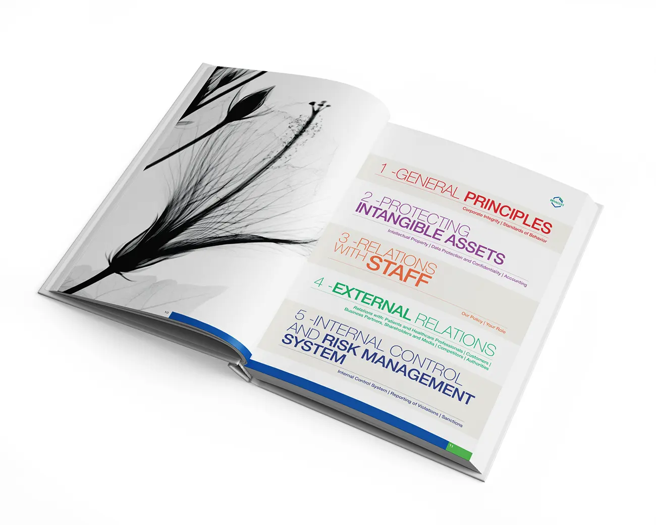 Carrera, impaginazione annuario per Bracco