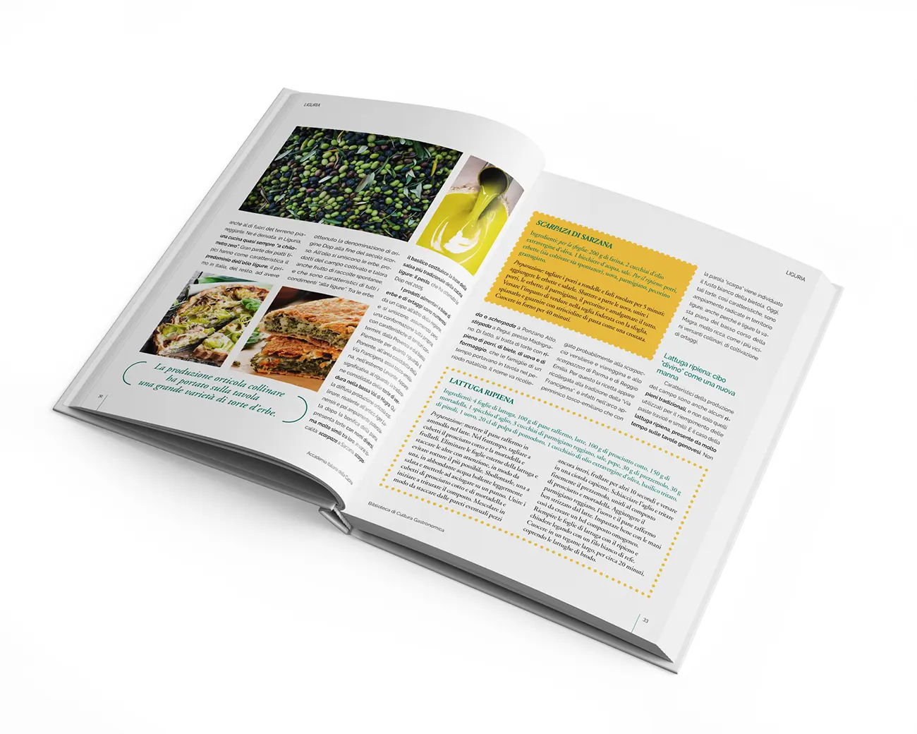 Carrera, impaginazione book accademia italiana della cucina