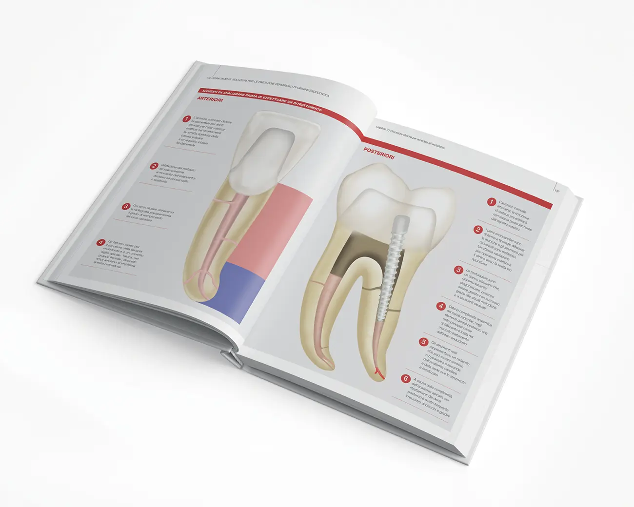 Carrera, impaginazione book Ritrattamenti per edra