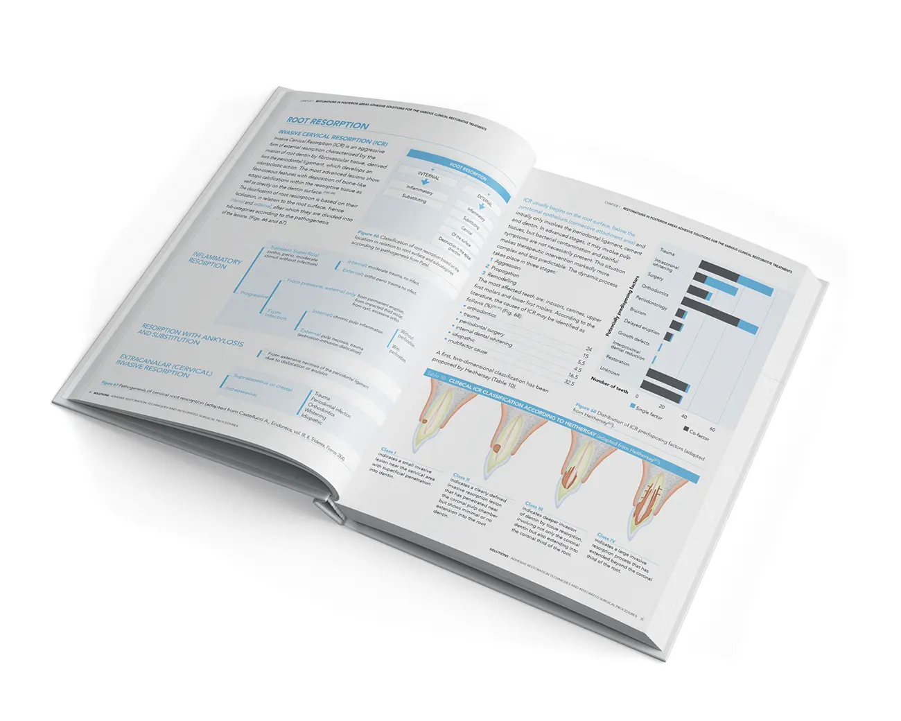 Carrera, impaginazione book Solutions per Edra