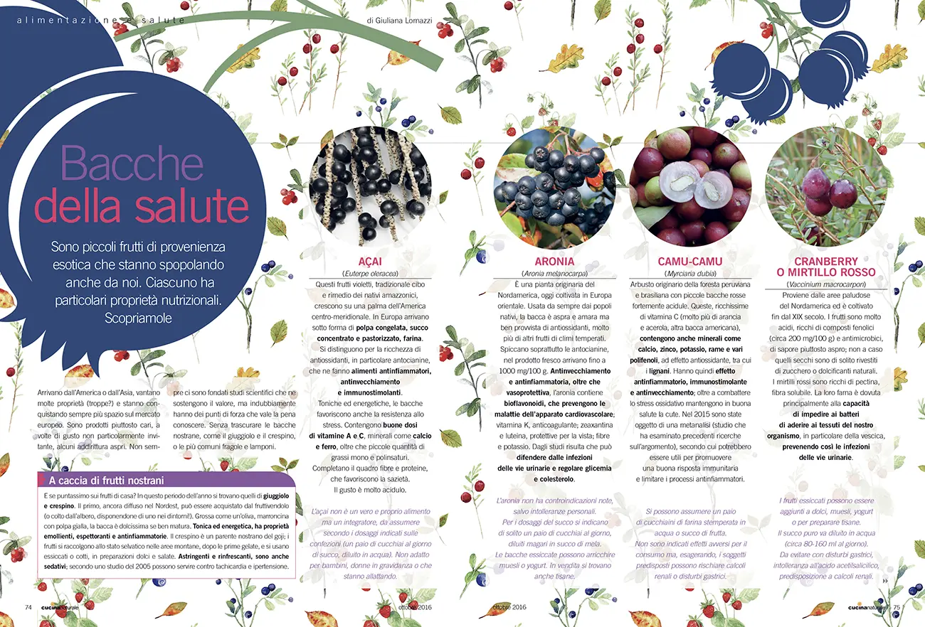 Carrera, impaginazione magazine Cucina Naturale per Tecniche Nuove